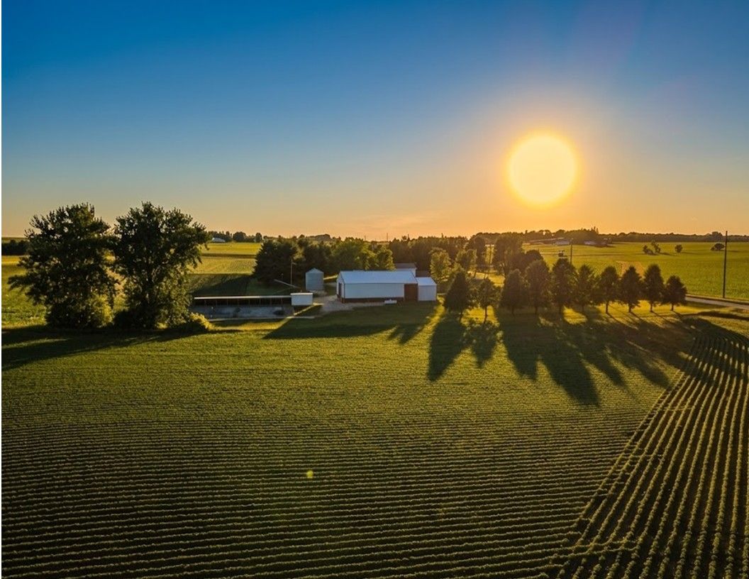 Listing Photo: Farmsite Acreage Kasson Minnesota Dodge County Southern Minnesota